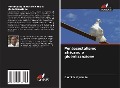Cover-Bild zum Titel 'Pentecostalismo africano e globalizzazione' von 'Olumide Oyebade'