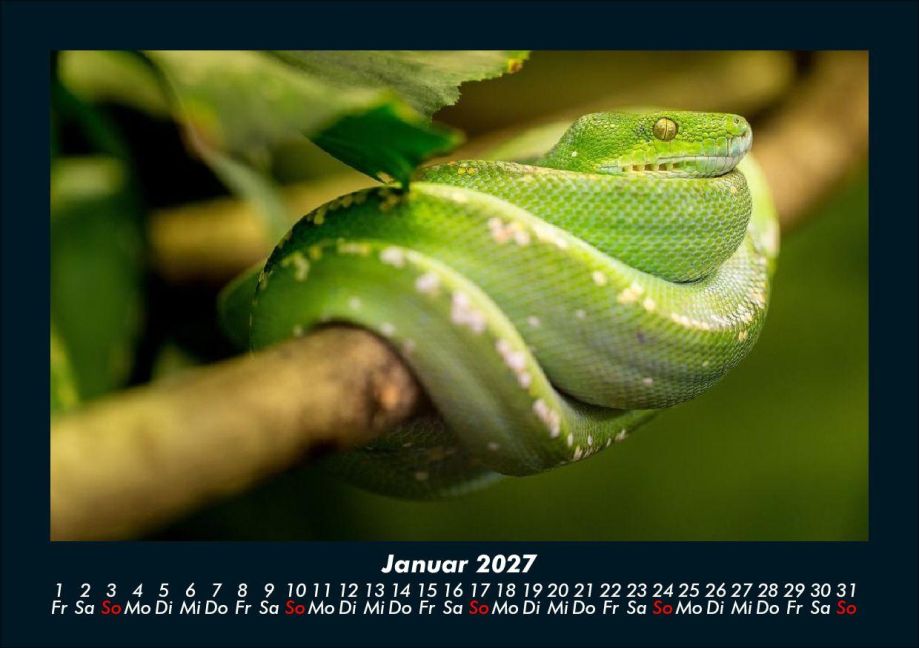 InsideView 5