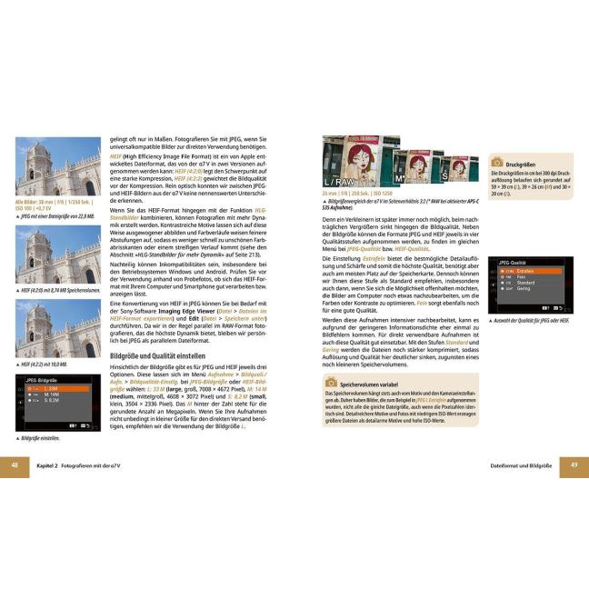 InsideView 2