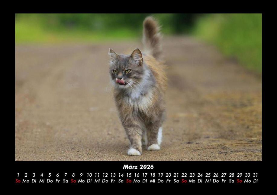 InsideView 7