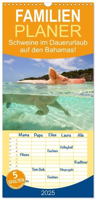 Familienplaner 2025 - Schweine im Dauerurlaub auf den Bahamas! mit 5 Spalten (Wandkalender, 21 x 45 cm) CALVENDO - Elisabeth Stanzer