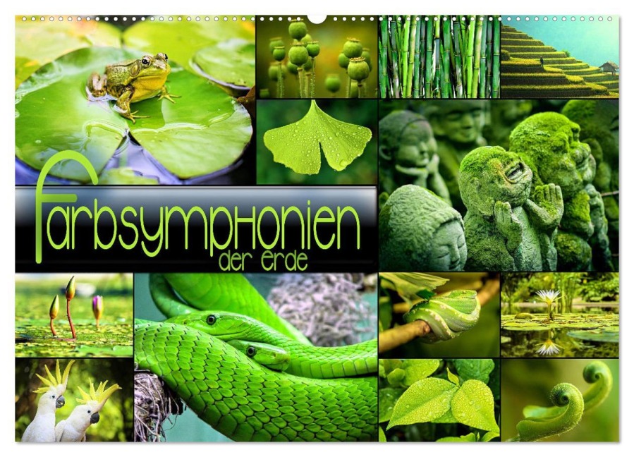 Farbsymphonien der Erde (Wandkalender 2026 DIN A2 quer), CALVENDO Monatskalender - Renate Utz