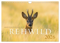 Cover-Bild zum Titel 'Rehwild 2026 (Wandkalender 2026 DIN A4 quer), CALVENDO Monatskalender' von 'Michael Breuer'