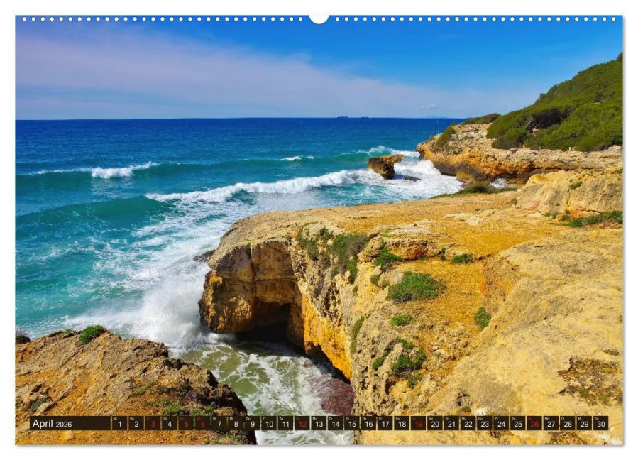 InsideView 8