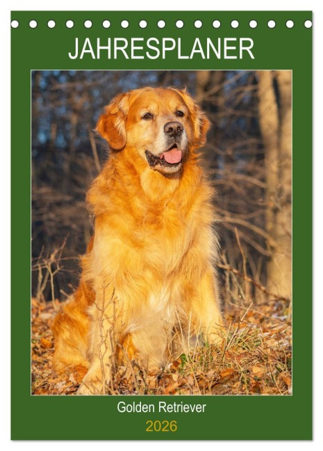 Jahresplaner Golden Retriever (Tischkalender 2026 DIN A5 hoch), CALVENDO Monatskalender - Sigrid Starick