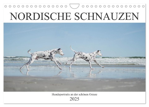 Nordische Schnauzen (Wandkalender 2025 DIN A4 quer), CALVENDO Monatskalender - Janice Pohle-Michel
