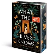 Cover-Bild zum Titel 'Geheimnisse des Nil, Band 1 - What the River Knows' von 'Isabel Ibañez'