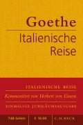 Cover-Bild zum Titel 'Italienische Reise' von 'Johann Wolfgang von Goethe'