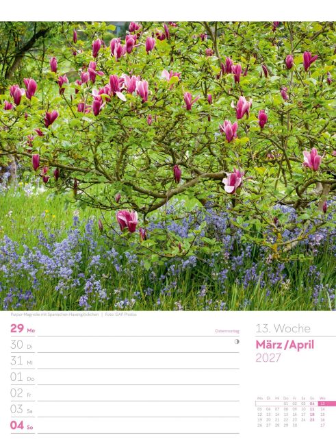 InsideView 17