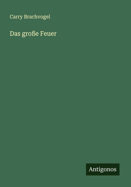 Das große Feuer - Carry Brachvogel