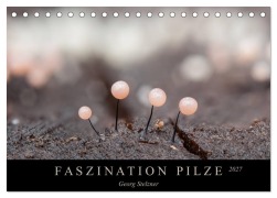 Cover-Bild zum Titel 'FASZINATION PILZE 2027 (Tischkalender 2027 DIN A5 quer), CALVENDO Monatskalender' von 'Georg Stelzner'
