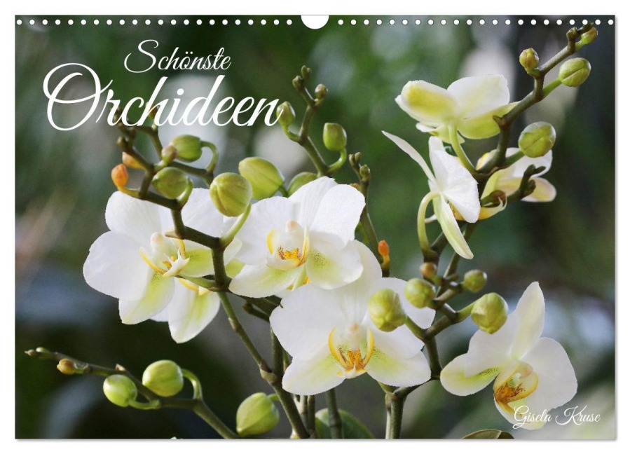 Schönste Orchideen (Wandkalender 2026 DIN A3 quer), CALVENDO Monatskalender - Gisela Kruse