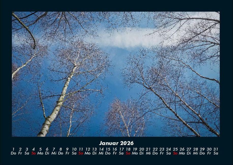 InsideView 5