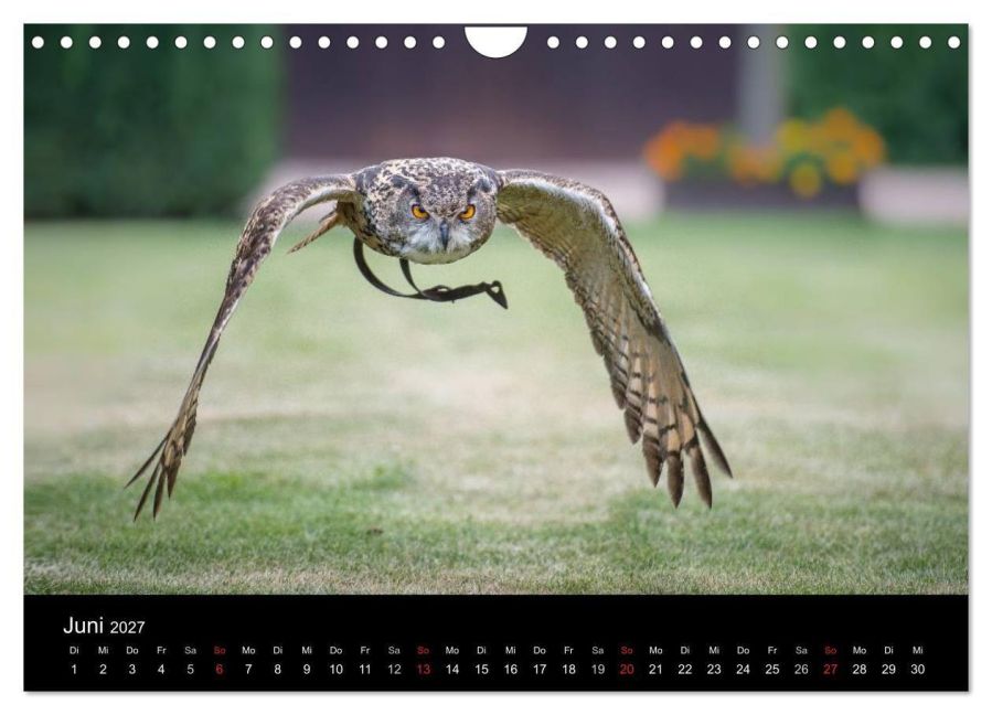 InsideView 11