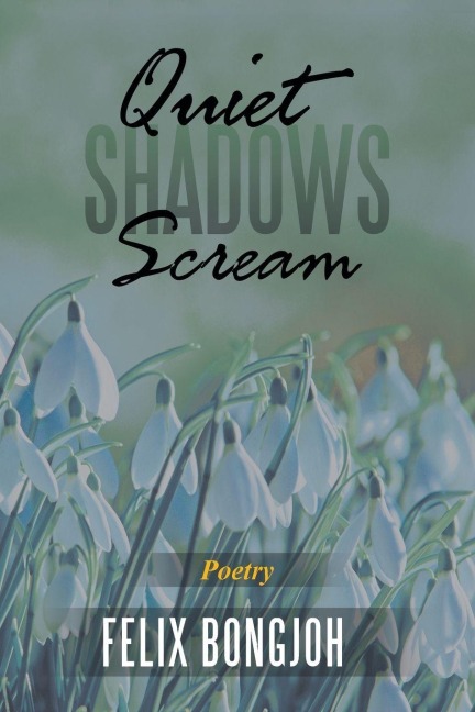 Quiet Shadows Scream - Felix Bongjoh
