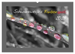 Schwarzweißes Farbenspiel 2025 (Wandkalender 2025 DIN A2 quer), CALVENDO Monatskalender - Rolf Pötsch