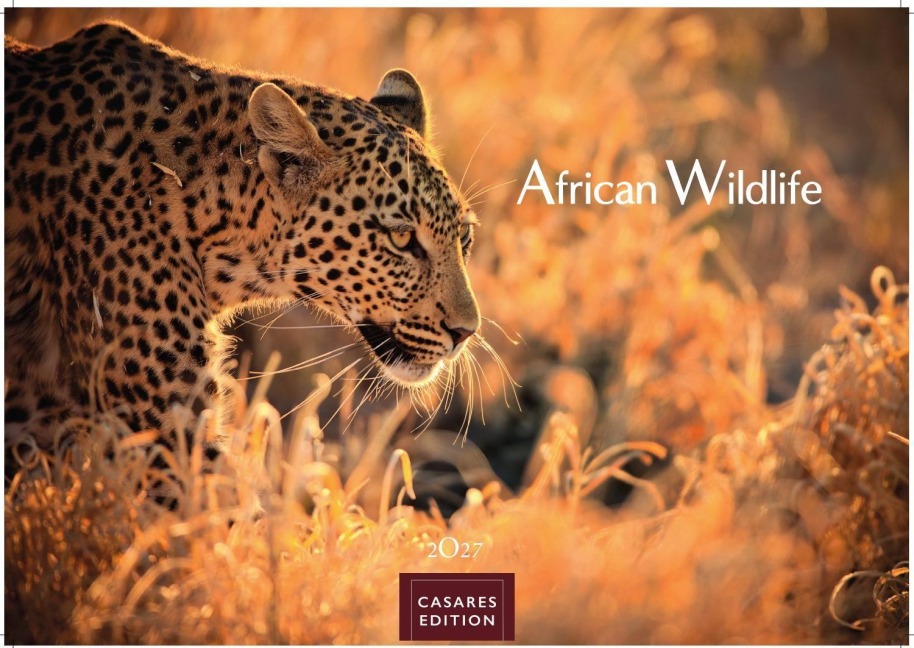 Wilde Tiere Afrikas Kalender 2027 - Wandkalender | Fotokalender Afrika 35x50cm | Naturfotografie | Tierkalender Afrika | Geschenk für Naturliebhaber - 