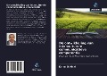 Cover-Bild zum Titel 'De ontwikkeling van interculturele communicatieve competentie' von 'Karim El Hiani'