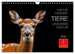 Wilde Heimat - Tiere unserer Natur (Wandkalender 2025 DIN A4 quer), CALVENDO Monatskalender - Peter Roder