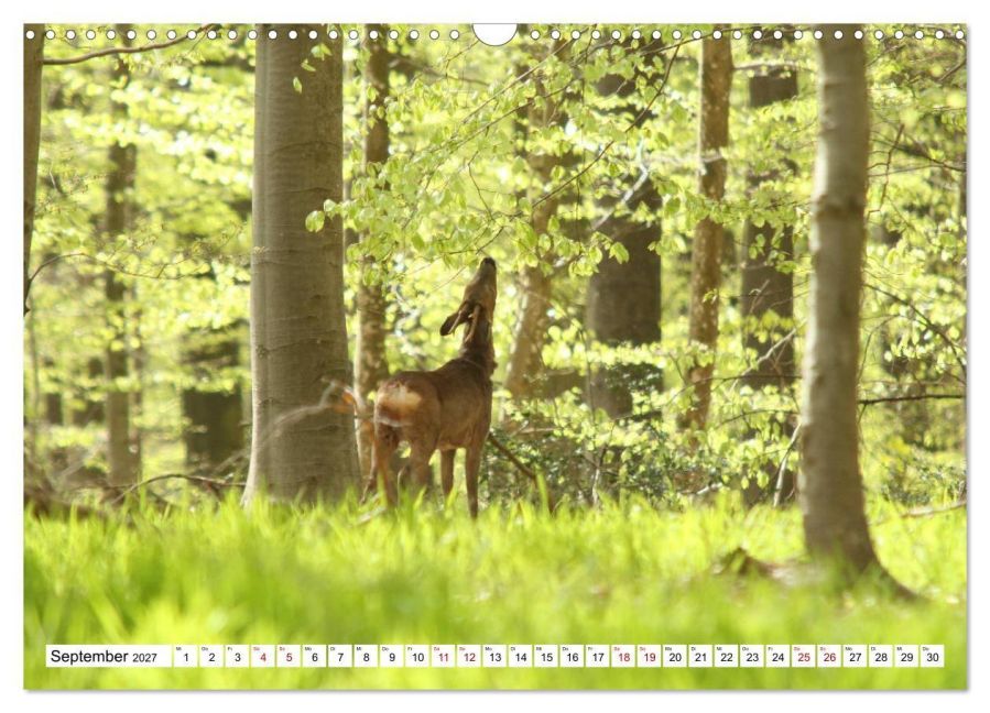 InsideView 14