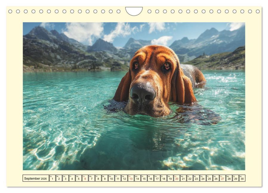 InsideView 14