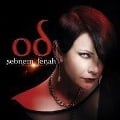 Cover-Bild zum Titel 'Od CD' von 'Sebnem Ferah'