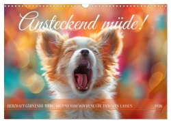 Cover-Bild zum Titel 'Ansteckend müde! (Wandkalender 2026 DIN A3 quer), CALVENDO Monatskalender' von 'Kerstin Waurick'