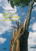 Cover-Bild zum Titel 'Regeln zur Unterscheidung der Geister' von 'Johannes Scaramelli'