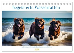 Cover-Bild zum Titel 'Begeisterte Wasserratten (Tischkalender 2026 DIN A5 quer), CALVENDO Monatskalender' von 'Claudia Kleemann'