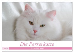 Die Perserkatze - Farbschlag Weiß (Wandkalender 2025 DIN A2 quer), CALVENDO Monatskalender - Arno Klatt