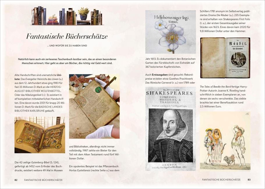 InsideView 5