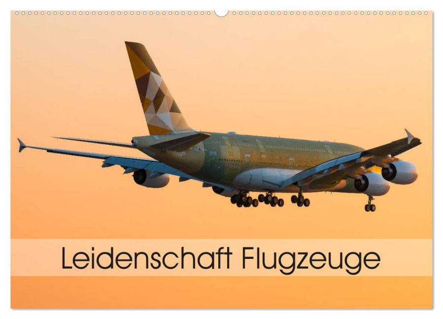 Leidenschaft Flugzeuge (Wandkalender 2025 DIN A2 quer), CALVENDO Monatskalender - Tom Estorf