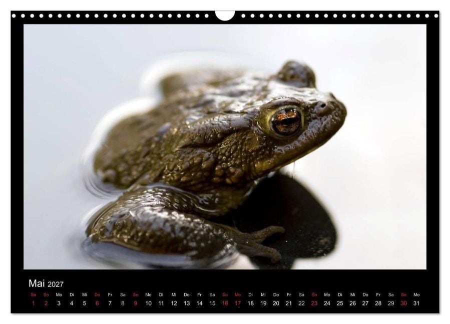 InsideView 10