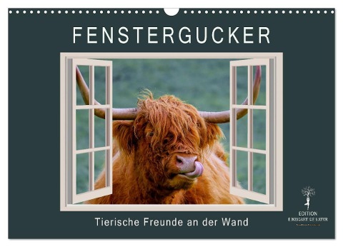 Fenstergucker - tierische Freunde an der Wand (Wandkalender 2024 DIN A3 quer), CALVENDO Monatskalender - Peter Roder