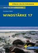 Cover-Bild zum Titel 'Windstärke 17 von Caroline Wahl' von ''
