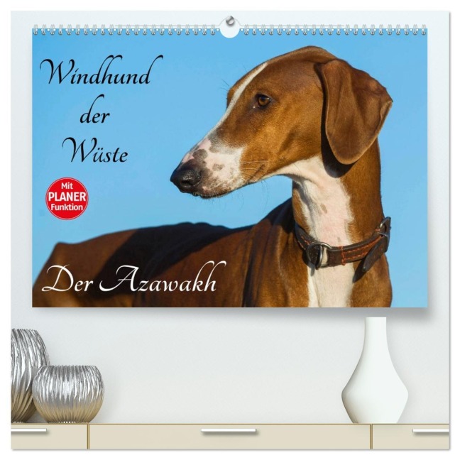 Windhund der Wüste - Der Azawakh (hochwertiger Premium Wandkalender 2026 DIN A2 quer), Kunstdruck in Hochglanz - Sigrid Starick