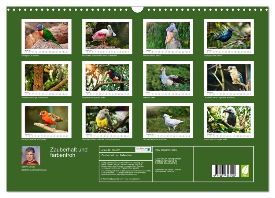 InsideView 5
