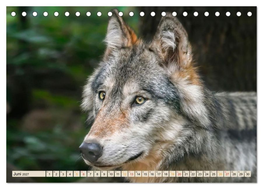 InsideView 11