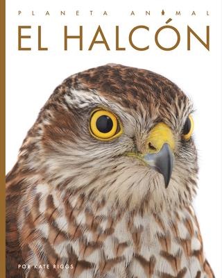 El Halcón - Kate Riggs
