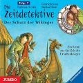 Die Zeitdetektive 07: Der Schatz der Wikinger - Fabian Lenk