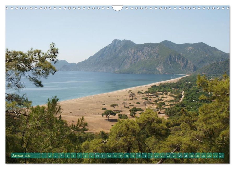 InsideView 6