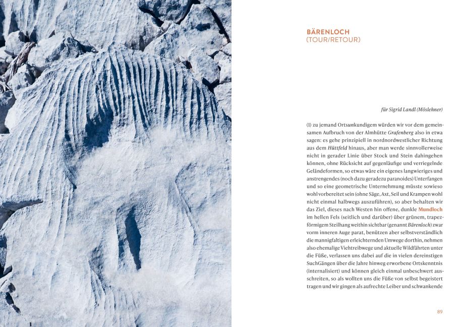 InsideView 12