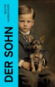 Cover-Bild zum Titel 'Der Sohn' von 'Walter Hasenclever'