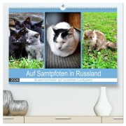 Auf Samtpfoten in Russland - Museums-Katzen auf russischen Landgütern (hochwertiger Premium Wandkalender 2026 DIN A2 quer), Kunstdruck in Hochglanz - Henning von Löwis of Menar