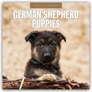 German Shepherd Puppies - Deutsche Schäferhunde Welpen 2026 - 16-Monatskalender - Robin Red