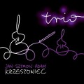 TRIO - Polnische zeitgenössische Musik - Krzeszowiec Trio