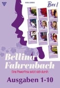 Cover-Bild zum Titel 'eBook 1-10' von 'Michaela Dornberg'