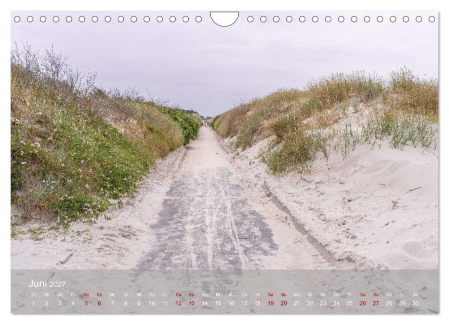InsideView 11