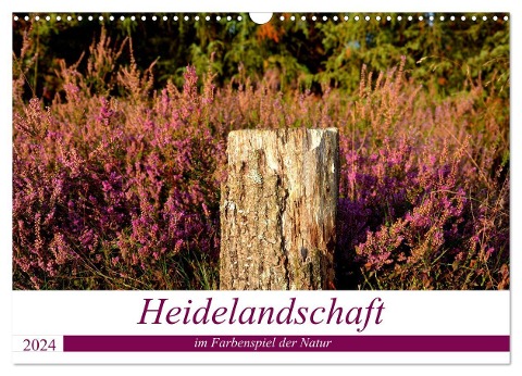 Heidelandschaft im Farbenspiel der Natur (Wandkalender 2024 DIN A3 quer), CALVENDO Monatskalender - Petra Giesecke