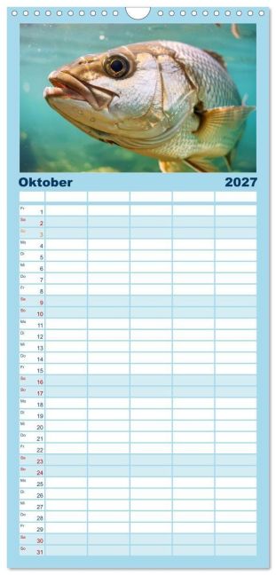 InsideView 1